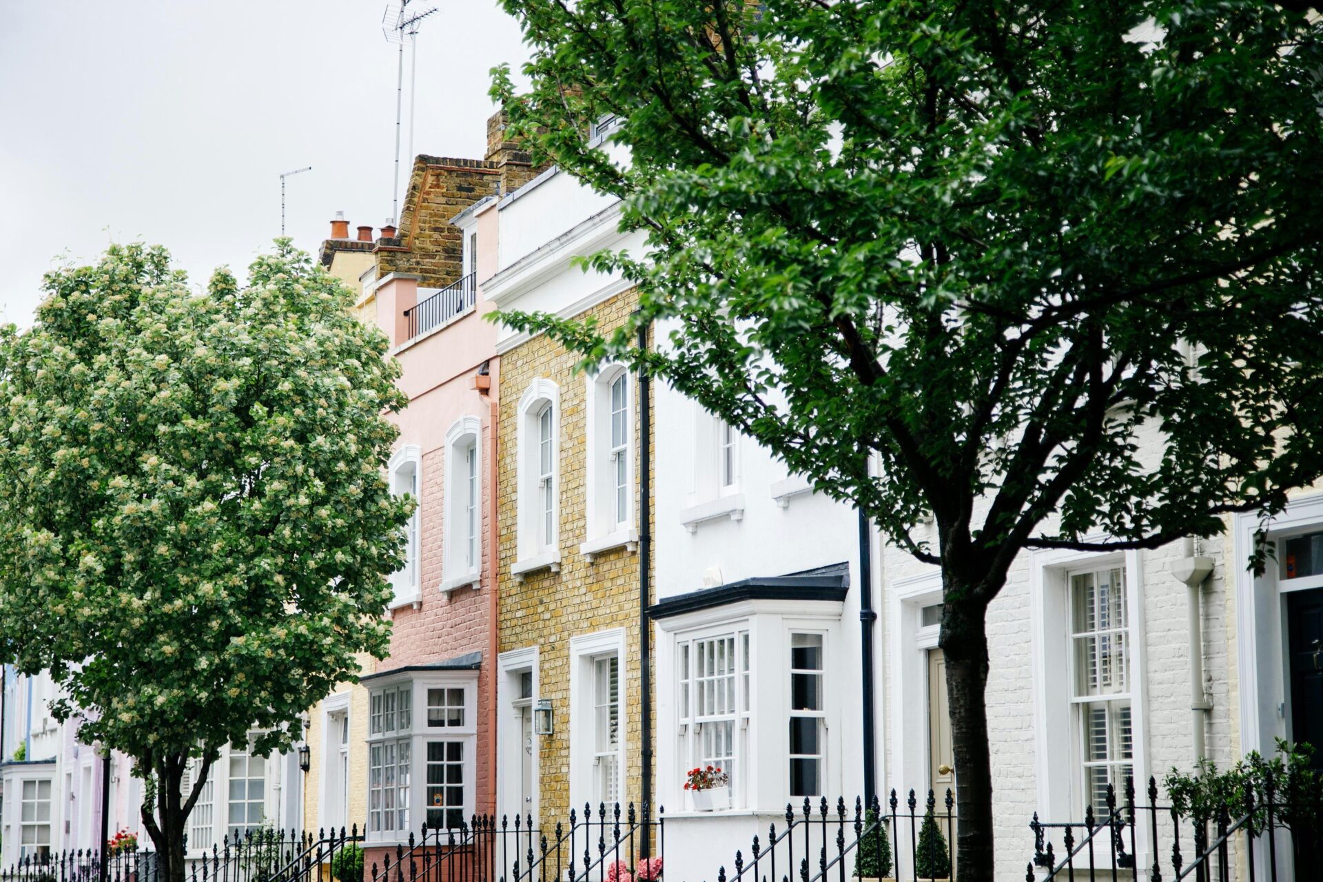 Row of pastel-coloured prime townhouses in Chelsea, London, framed by mature trees.